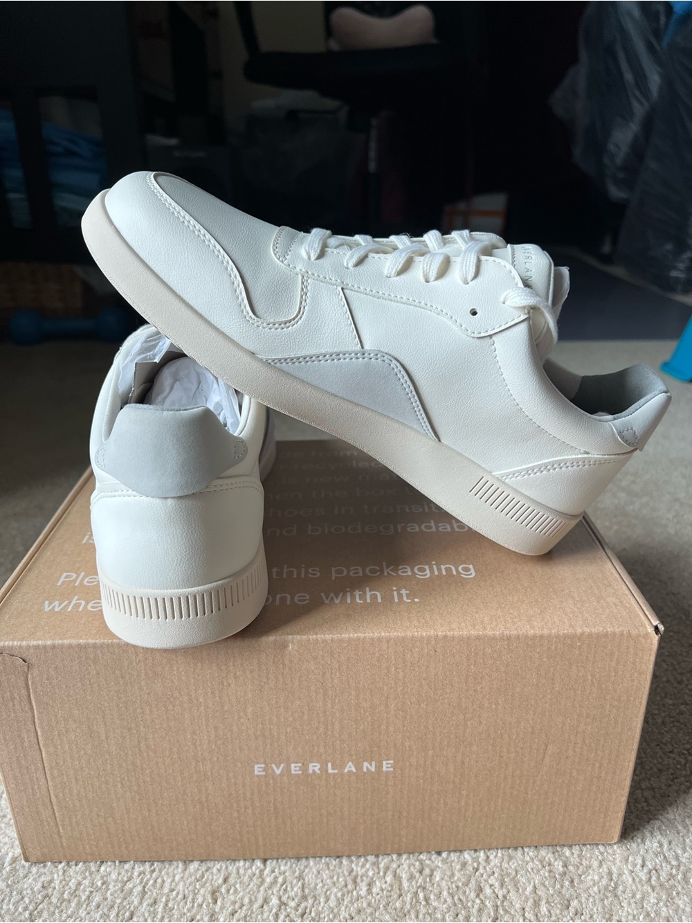 Everlane Court Sneakers